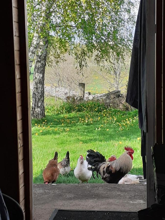 Knutstorp Ranch Appartement Tyringe Buitenkant foto